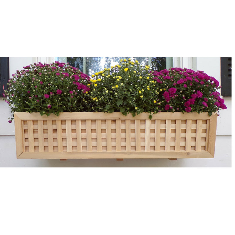 August Grove® Tolchester Cedar Wood Window Box Planter & Reviews Wayfair
